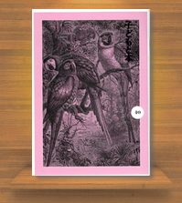 �G�����w�q�ǂ��Ɩ{�x��40��