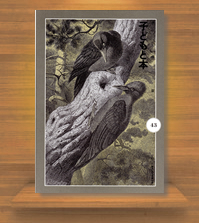 �G�����w�q�ǂ��Ɩ{�x��43��